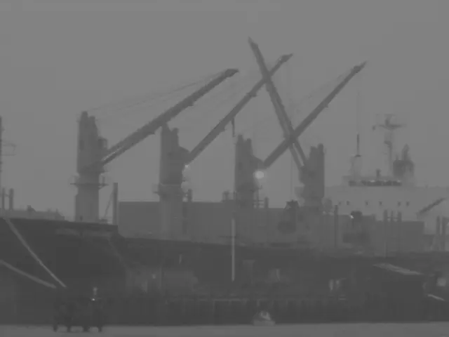 Arrest of Three Individuals on a Cruise Ship Due to Unsuccessful Scam